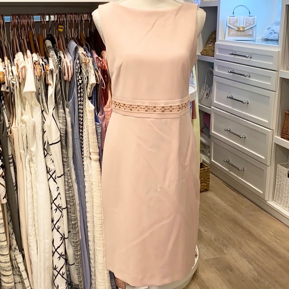Ann Taylor Dresses & Skirts - Ann Taylor Dusty Rose Dress. NWOT